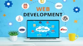 Website Development Service
