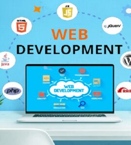 Website Development Service